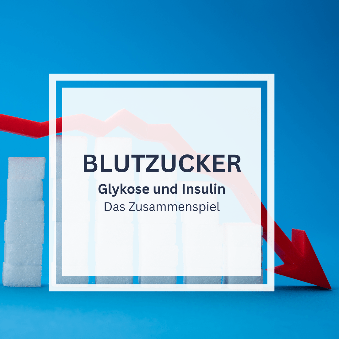Blutzucker, Glukose und Insulin: Das Zusammenspiel - AdamsBrot Shop