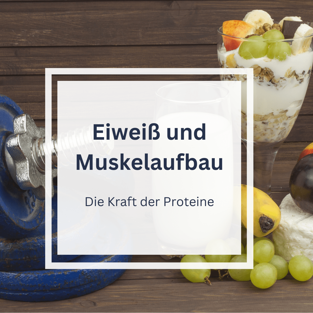 Eiweiß und Muskelaufbau: Die Kraft der Proteine - AdamsBrot Shop
